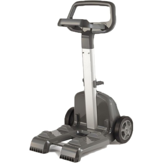 Caddy pour DOLPHIN S100